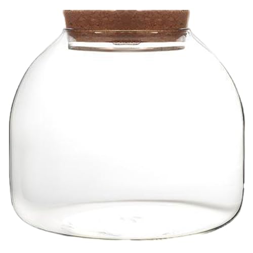 Terrariumglas, 5, 9 x 5, 1 Zoll transparentes Glaspflanzen -Terrarium mit Holzunterbrechungen, runde Fischschüsselglas für saftige Pflanzenblumentischdekorationen von Mskmnkot