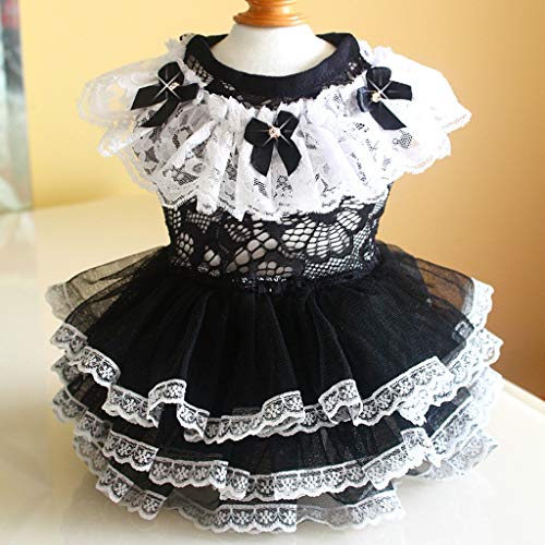 Haustier Kleidung Hundekleid für Hunde Kristall Rock Sommer Prinzessin Hund Brautkleider York Kleidung Hunde Röcke Haustier Katzen Mädchen (Größe : X-Large) (XX) von Msuiiixcccc
