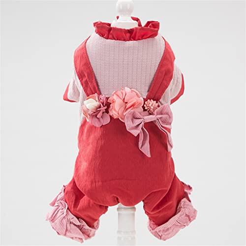 Haustier Kleidung Kleine Hund Kleidung Winter Welpen Mantel Jacke Warm Hund Overall Pudel Bichon Pommern Pommerschen Haustier Kleidung Outfit (Farbe : A Größe: XScode) (A L Code) von Msuiiixcccc