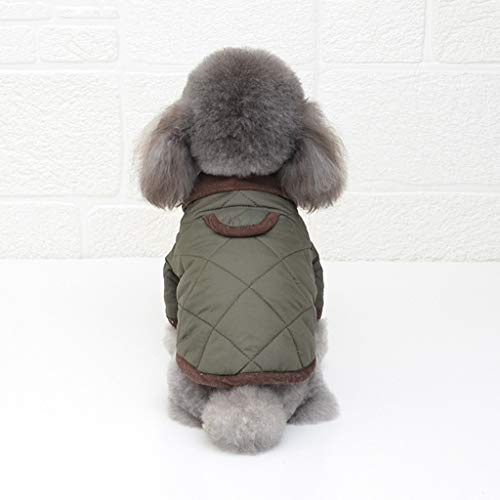 Herbst und Winter Neu Blau-Grün Farben Zwei Füße Warm Kleine Größe Hundebekleidung Baumwolle Gepolsterte Warme Hundekleidung Maskotor (Farbe: Blau Größe: XX-Large) (Grün XX) von Msuiiixcccc