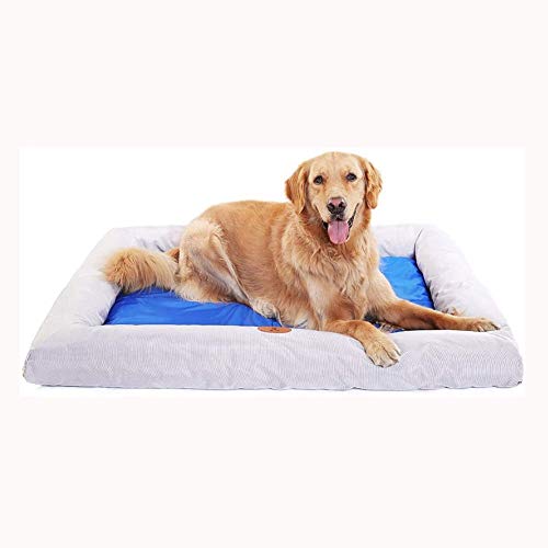 Hundebett Große Atmungsaktive Hundebett Design Kein kontaminiertes Tierhaar Leicht zu reinigen Rutschfeste Hundesofa Hundebett Große Atmungsaktive Hundebett Design Kein kontaminiertes Tierhaar Leicht zu reinigen Rutschfeste Hundesofa von Msuiiixcccc