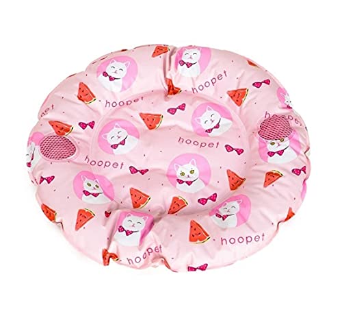 Katzenbett Katzenbett Kleines Hundebett Samt Cral + Baumwollbett PP für Hauskatzen oder kleine Hunde Rutschfest Unterbett für Haustiere bis 10 kg Katzenbett Katzenbett Kleines Hundebett Samt Cral + Baumwollbett PP für Hauskatzen oder kleine Hunde Rutschfest Unterbett für Haustiere bis 10 kg von Msuiiixcccc