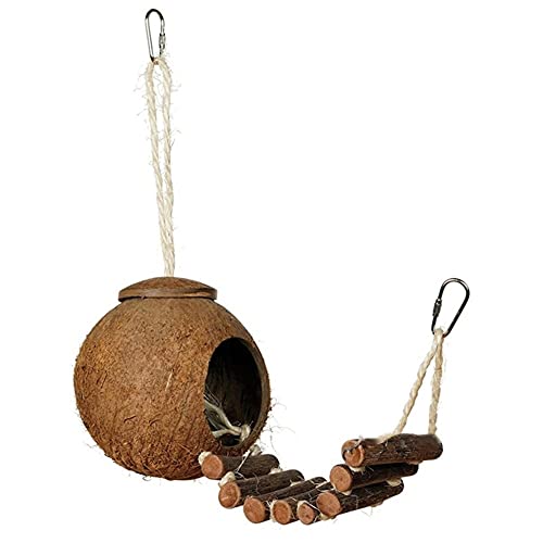 Nette komfortable Design natürliche Kokosnuss Shell Vogel Bruthaus kleine Größe Haustier Parakit Spatzen Käfig mit Leiter von Msuiiixcccc
