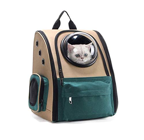 Tragbare Haustier Klar Katze Rucksack Atmungsaktive Haustier Rucksack für Welpen Hund Katze Leichte Rucksack Atmungsaktives Mesh für Reisen Wandern Wandern Draußen Tragbare Haustier Klar Katze Rucksack Atmungsaktive Haustier Rucksack für Welpen Hund Katze Leichte Rucksack Atmungsaktives Mesh für Reisen Wandern Wandern Draußen von Msuiiixcccc