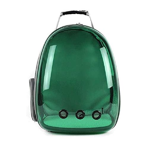 Tragbares Haustier Reise Atmungsaktiver Rucksack Haustierträger Transparent Atmungsaktiver Raum Haustier Rucksack Für Wandern Reise Camping Outdoor-Aktivitäten Schwarz (Grün) von Msuiiixcccc