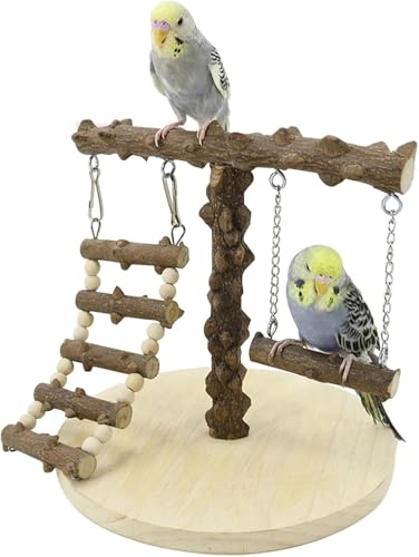 Mtiemxig Holz Papageien-Spielständer – natürlicher Vogel-Kletterbaum mit Leiter & Schaukel – Robustes Spiel- & Trainingsparadies für Wellensittiche, Nymphensittiche, Papageien Mtiemxig Holz Papageien-Spielständer – natürlicher Vogel-Kletterbaum mit Leiter & Schaukel – Robustes Spiel- & Trainingsparadies für Wellensittiche, Nymphensittiche, Papageien von Mtiemxig