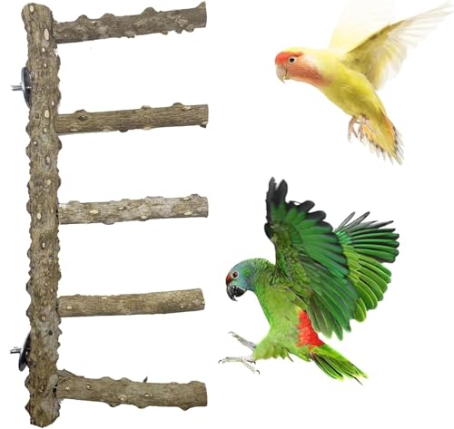 Mtiemxig Holz Papageien-Spielständer – natürlicher Vogel-Kletterbaum mit Leiter & Schaukel – Robustes Spiel- & Trainingsparadies für Wellensittiche, Nymphensittiche, Papageien Mtiemxig Holz Papageien-Spielständer – natürlicher Vogel-Kletterbaum mit Leiter & Schaukel – Robustes Spiel- & Trainingsparadies für Wellensittiche, Nymphensittiche, Papageien von Mtiemxig