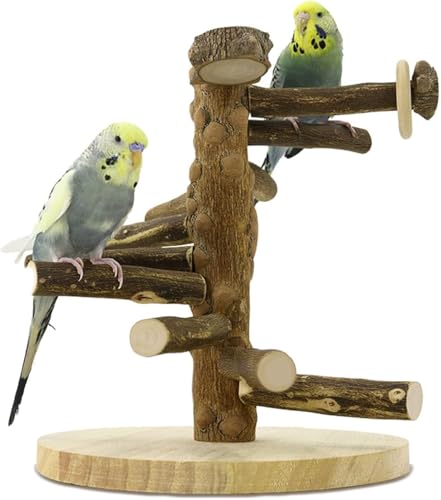 Mtiemxig Holz Papageien-Spielständer – natürlicher Vogel-Kletterbaum mit Leiter & Schaukel – Robustes Spiel- & Trainingsparadies für Wellensittiche, Nymphensittiche, Papageien Mtiemxig Holz Papageien-Spielständer – natürlicher Vogel-Kletterbaum mit Leiter & Schaukel – Robustes Spiel- & Trainingsparadies für Wellensittiche, Nymphensittiche, Papageien von Mtiemxig