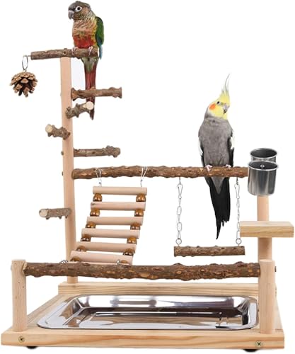 Mtiemxig Holz Papageien-Spielständer – natürlicher Vogel-Kletterbaum mit Leiter & Schaukel – Robustes Spiel- & Trainingsparadies für Wellensittiche, Nymphensittiche, Papageien Mtiemxig Holz Papageien-Spielständer – natürlicher Vogel-Kletterbaum mit Leiter & Schaukel – Robustes Spiel- & Trainingsparadies für Wellensittiche, Nymphensittiche, Papageien von Mtiemxig