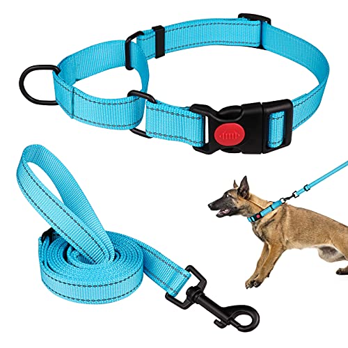 Martingale Hundehalsband und Leine, Martingale-Halsbänder für Hunde, reflektierendes Martingal-Halsband für kleine, mittelgroße und große Hunde (Himmelblau und L) von Mtliepte