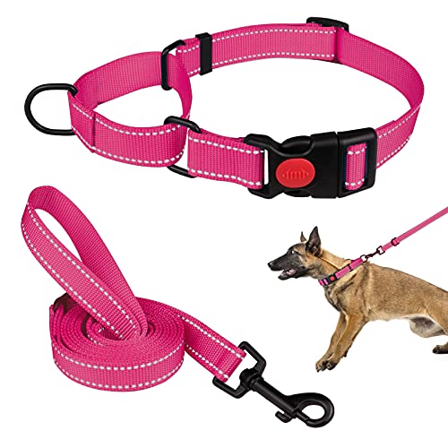 Martingale Hundehalsband und Leine, Martingale-Halsbänder für Hunde, reflektierendes Martingal-Halsband für kleine, mittelgroße und große Hunde (Hot Pink & L) von Mtliepte
