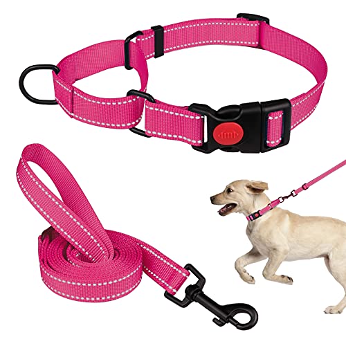Martingale Hundehalsband und Leine, Martingale-Halsbänder für Hunde, reflektierendes Martingal-Halsband für kleine, mittelgroße und große Hunde (Hot Pink & S) von Mtliepte