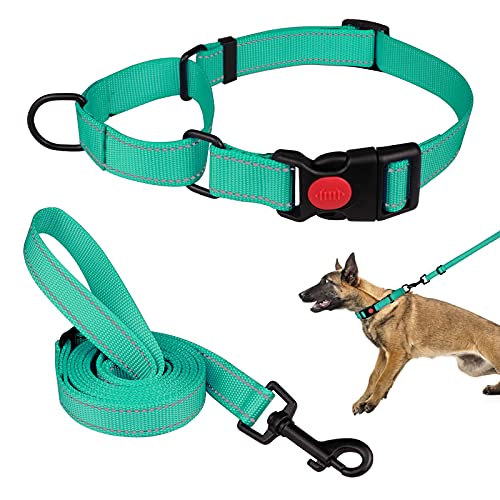 Martingale Hundehalsband und Leine, Martingale-Halsbänder für Hunde, reflektierendes Martingal-Halsband für kleine, mittelgroße und große Hunde (Mintgrün und L) von Mtliepte