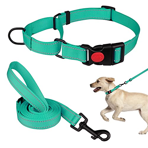 Martingale Hundehalsband und Leine, Martingale-Halsbänder für Hunde, reflektierendes Martingal-Halsband für kleine, mittelgroße und große Hunde (Minzgrün & S) von Mtliepte