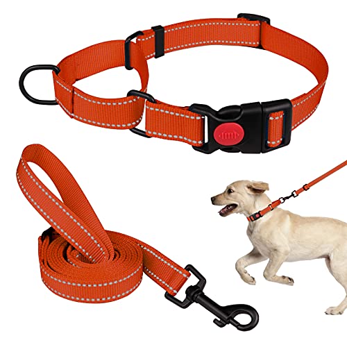 Martingale Hundehalsband und Leine, Martingale-Halsbänder für Hunde, reflektierendes Martingal-Halsband für kleine, mittelgroße und große Hunde (Orange & S) von Mtliepte