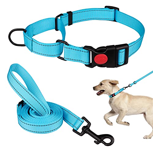 Martingale Hundehalsband und Leine, Martingale-Halsbänder für Hunde, reflektierendes Martingal-Halsband für kleine, mittelgroße und große Hunde (himmelblau und M) von Mtliepte