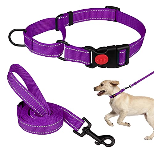 Martingale Hundehalsband und Leine, Martingale-Halsbänder für Hunde, reflektierendes Martingalhalsband für kleine, mittelgroße und große Hunde (Violett und M) von Mtliepte