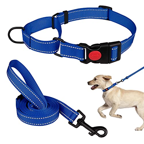 Martingale Hundehalsband und Leine, Set Martingale Halsbänder für Hunde, reflektierendes Martingalhalsband für kleine, mittelgroße und große Hunde (Blau und M) von Mtliepte