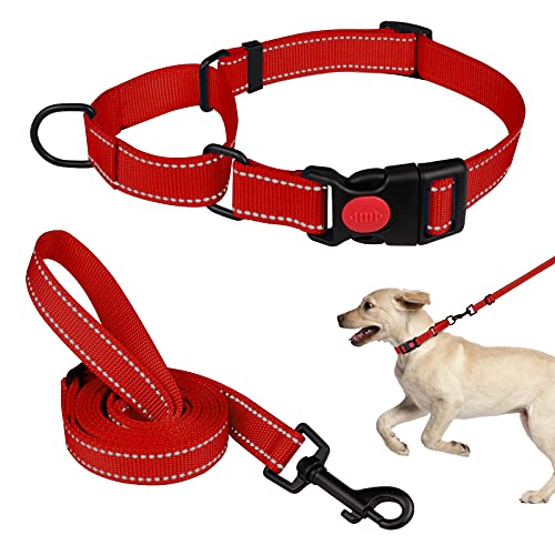 Martingale Hundehalsband und Leine, Set Martingale Halsbänder für Hunde, reflektierendes Martingalhalsband für kleine, mittelgroße und große Hunde (Rot & M) von Mtliepte