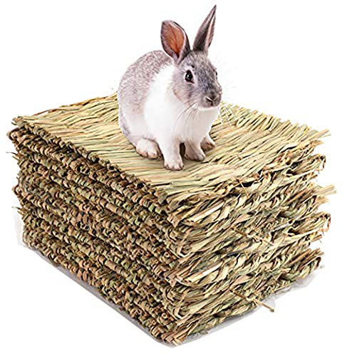 12 Stück gewebte Bettmatte für Kaninchen, natürliche Stroh-Heumatten, Kaninchen, handgefertigte Bettwäsche für Meerschweinchen, Hamster, Chinchilla, Eichhörnchen 12 Stück gewebte Bettmatte für Kaninchen, natürliche Stroh-Heumatten, Kaninchen, handgefertigte Bettwäsche für Meerschweinchen, Hamster, Chinchilla, Eichhörnchen von Mucee