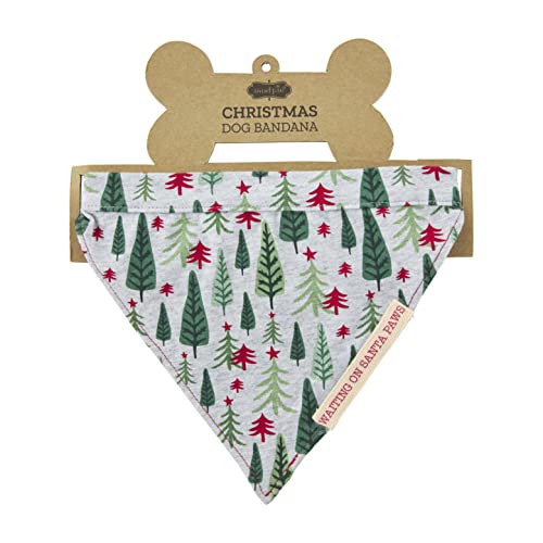 Mud Pie Pyjama Hundehalstuch, Familie Mud Pie Pyjama Hundehalstuch, Familie von Mud Pie