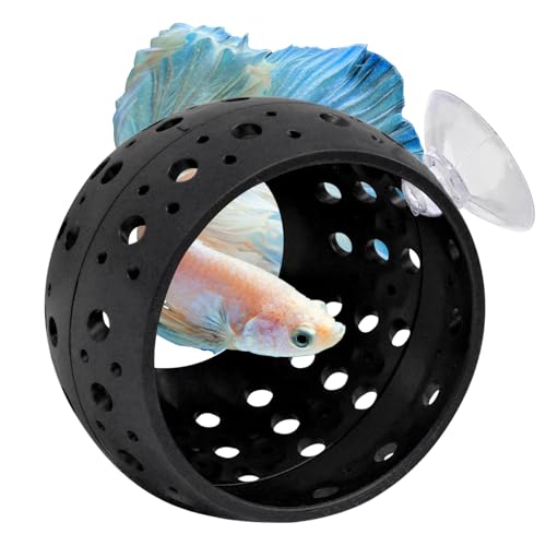 Betta Fisch Tunnel, Kleines Aquarium Höhle Fisch-Versteck-Ruherohr mit Saugnapf Deko Aquarium Zubehör für Betta Guppies Ruhen Schwarz Betta Fisch Tunnel, Kleines Aquarium Höhle Fisch-Versteck-Ruherohr mit Saugnapf Deko Aquarium Zubehör für Betta Guppies Ruhen Schwarz von Mudoulu