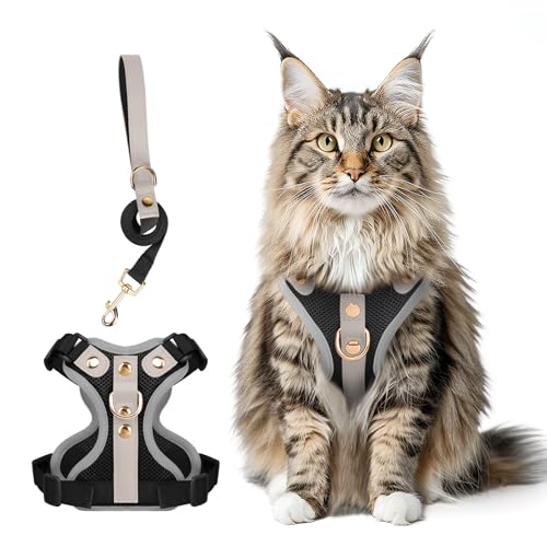 Muecleao Ausbruchsicheres Katzengeschirr und Leine, Premium-Mikrofaser-Lederbesatz, verstellbares reflektierendes Westengeschirr für Katzen, atmungsaktiv, kein Ziehen, Kätzchengeschirr mit weichem von Muecleao