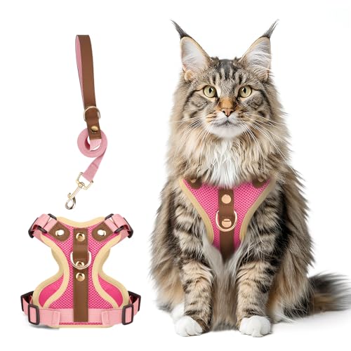 Muecleao Ausbruchsicheres Katzengeschirr und Leine, Premium-Mikrofaser-Lederbesatz, verstellbares reflektierendes Westengeschirr für Katzen, atmungsaktiv, kein Ziehen, Kätzchengeschirr mit weichem Muecleao Ausbruchsicheres Katzengeschirr und Leine, Premium-Mikrofaser-Lederbesatz, verstellbares reflektierendes Westengeschirr für Katzen, atmungsaktiv, kein Ziehen, Kätzchengeschirr mit weichem von Muecleao