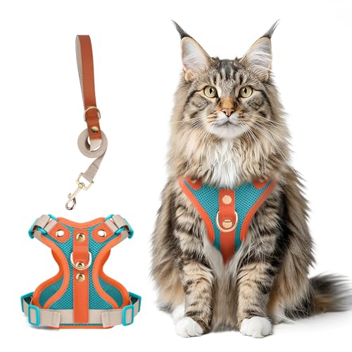 Muecleao Ausbruchsicheres Katzengeschirr und Leine, Premium-Mikrofaser-Lederbesatz, verstellbares reflektierendes Westengeschirr für Katzen, atmungsaktiv, kein Ziehen, Kätzchengeschirr mit weichem von Muecleao