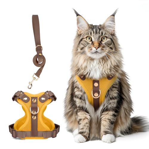 Muecleao Ausbruchsicheres Katzengeschirr und Leine, Premium-Mikrofaser-Lederbesatz, verstellbares reflektierendes Westengeschirr für Katzen, atmungsaktiv, kein Ziehen, Kätzchengeschirr mit weichem von Muecleao