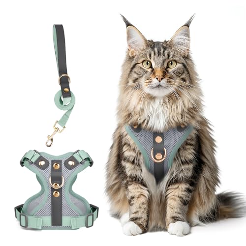Muecleao Ausbruchsicheres Katzengeschirr und Leine, Premium-Mikrofaser-Lederbesatz, verstellbares reflektierendes Westengeschirr für Katzen, atmungsaktiv, kein Ziehen, Kätzchengeschirr mit weichem Muecleao Ausbruchsicheres Katzengeschirr und Leine, Premium-Mikrofaser-Lederbesatz, verstellbares reflektierendes Westengeschirr für Katzen, atmungsaktiv, kein Ziehen, Kätzchengeschirr mit weichem von Muecleao