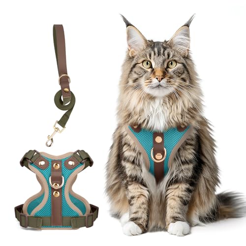 Muecleao Ausbruchsicheres Katzengeschirr und Leine, Premium-Mikrofaser-Lederbesatz, verstellbares reflektierendes Westengeschirr für Katzen, atmungsaktiv, kein Ziehen, Kätzchengeschirr mit weichem Muecleao Ausbruchsicheres Katzengeschirr und Leine, Premium-Mikrofaser-Lederbesatz, verstellbares reflektierendes Westengeschirr für Katzen, atmungsaktiv, kein Ziehen, Kätzchengeschirr mit weichem von Muecleao