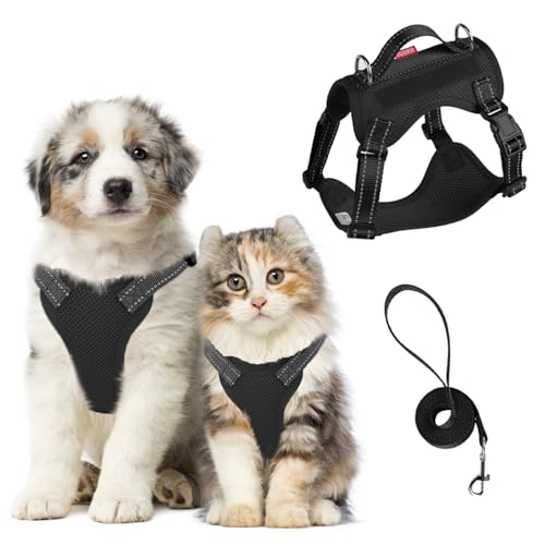 Muecleao Hundegeschirr für kleine Hunde mit Leine, Schwarz, Größe XL Muecleao Hundegeschirr für kleine Hunde mit Leine, Schwarz, Größe XL von Muecleao