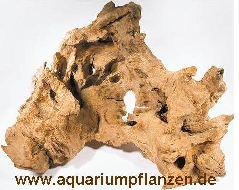 Mühlan Topartikel- 1 Mooreichenwurzel 20-30 cm Wurzel, Aquarium, Moor von Mühlan Wasserpflanzen