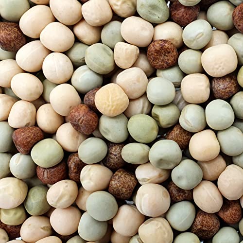 Erbsengemenge - Gladen 2,5kg - Tierfutter Tauben Vogel von Mühle Gladen