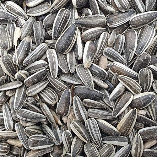 Gladen Sonnenblumenkerne gestreift 2,5kg - Tierfutter Taube Vogel von Mühle Gladen