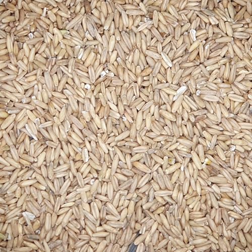 Haferkerne - Gladen 2,5kg von Mühle Gladen