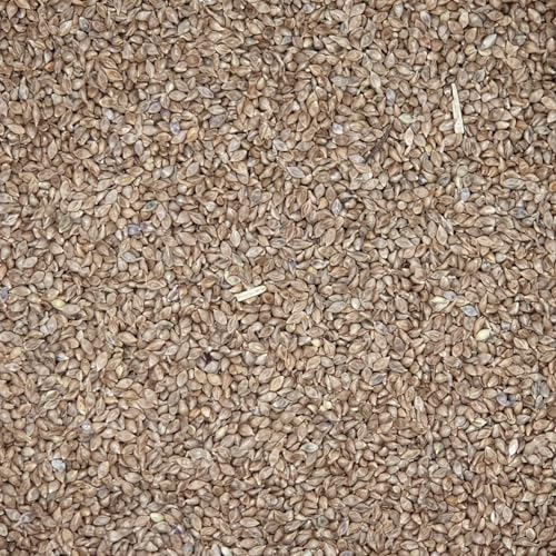 Hirse Japan - Gladen 2,5kg - Vogelfutter Taubenfutter Tierfutter Hirse Japan - Gladen 2,5kg - Vogelfutter Taubenfutter Tierfutter von Mühle Gladen