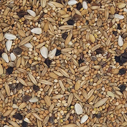 Mühle Gladen Agapornidenfutter - Zwergpapageien & Großsittiche 2,5kg von Mühle Gladen