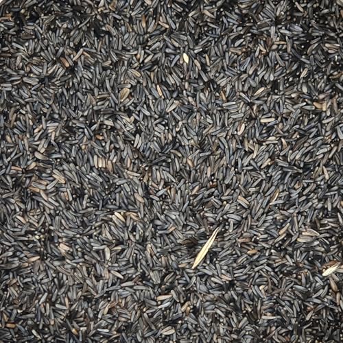 Nigersaat - Gladen 2,5kg Nigersaat - Gladen 2,5kg von Mühle Gladen