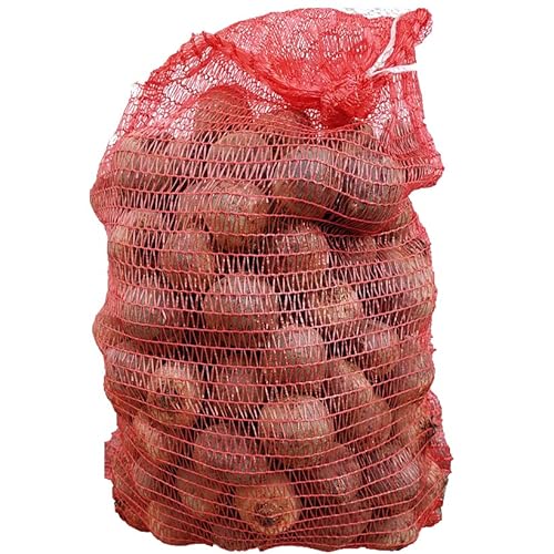 Rote Bete Knollen 16kg von Mühle Gladen
