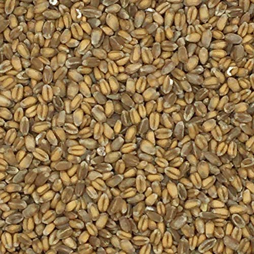 Weizen - Gladen 2,5kg Weizen - Gladen 2,5kg von Mühle Gladen