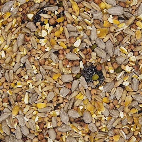 Wildvogelfutter ohne Schalen 2,5kg - Ganzjahresfutter Winterfutter Sommerfutter Winterstreufutter Wildvogelfutter ohne Schalen 2,5kg - Ganzjahresfutter Winterfutter Sommerfutter Winterstreufutter von Mühle Gladen