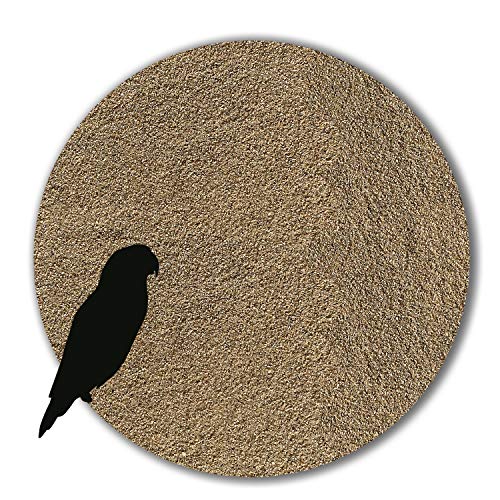 12 kg Vogelsand beige keimfrei qualitativ hochwertig Bodengrund für Käfige ohne Zusatzstoffe wie Anis und Grit (fein) von Anbobo