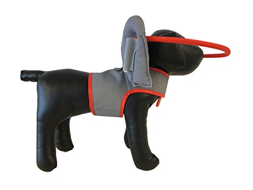 Muffin's Halo Es ist ein Ring, der Blinde und schlecht sehende Hunde schützt, hilft ihnen bei der Orientierung von Muffin's Halo Guide For Blind Dogs