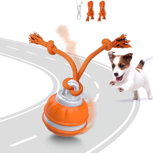Muhhiba Interaktives Hundespielzeug, Rollball für Welpen, kleine Hunde, Orange von Muhhiba
