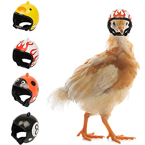 Haustier Huhn Helm Huhn Hut Helm Spielzeug Hühnerhelm Huhn Kostüme Zubehör Kleiner Haustierschutzhelm Für Hühnchen Mini Motorrad Helm Haustierhelm für Küken,Vögel,Schutzhelm für Huhn (E-4PCS) von Muium(TM)
