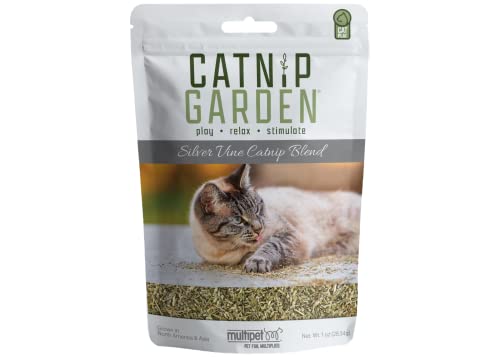 1OZ Silver Vine Catnip -20535 1OZ Silver Vine Catnip -20535 von Multi Pet