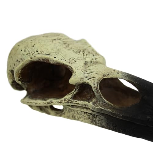 Komodo Reptilien-Terrarium, realistische Raben-Totenkopf-Ornament, Dekoration, leicht zu reinigen, unter Wasser Aquarium oder trockene Lebensraumdekoration, Zubehör, Größe M, 15,2 cm Komodo Reptilien-Terrarium, realistische Raben-Totenkopf-Ornament, Dekoration, leicht zu reinigen, unter Wasser Aquarium oder trockene Lebensraumdekoration, Zubehör, Größe M, 15,2 cm von Multi Pet