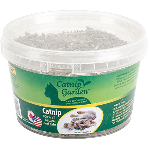 Multipet International 20516 CatnipGDN Katzenminze, 42,5 g, 3 Stück Multipet International 20516 CatnipGDN Katzenminze, 42,5 g, 3 Stück von Multi Pet